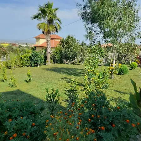 Mozaik Guest house